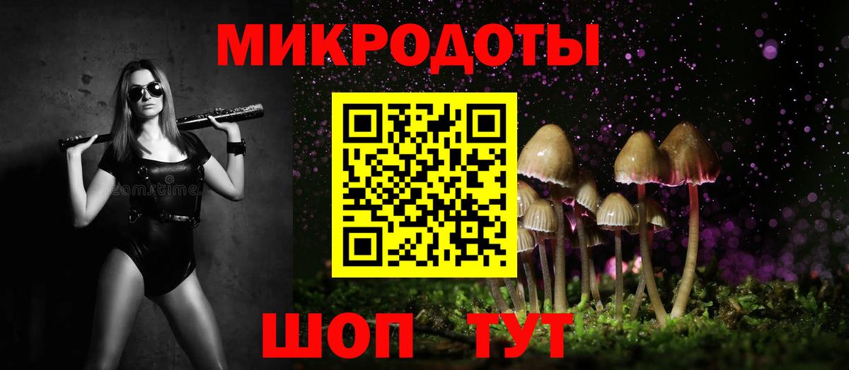 Галлюциногенные грибы Psilocybine cubensis  Вход с VPN  Сызрань 